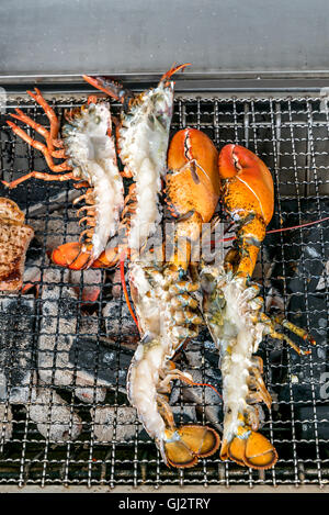 Hummer auf dem Holzkohlegrill Stockfoto