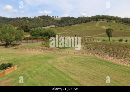 Blick in die Weinberge und Hügel bei Ivanhoe Weinberge in Australien Stockfoto