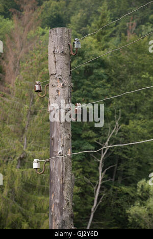 Alte elektrische Holzpfahl mit Drähten und Isolatoren auf dem Hintergrund des Waldes Stockfoto