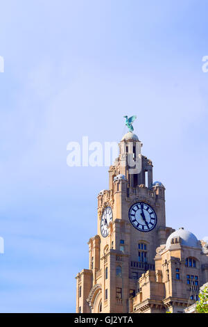 Liverpool Liver Building Uhrturm, Merseyside, Vereinigtes Königreich. Stockfoto