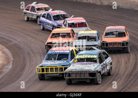 1300 Stox in einem Rennen in The Adrian Flux Arena Kings Lynn. Stockfoto