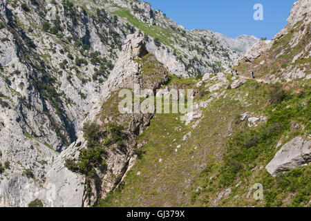 Wandern kümmert sich Schlucht in Picos de Europa, Asturien, Spanien, Europa. Stockfoto