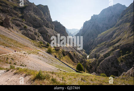Wandern kümmert sich Schlucht in Picos de Europa, Asturien, Spanien, Europa. Stockfoto