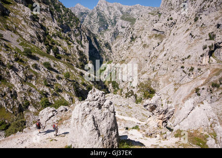 Wandern kümmert sich Schlucht in Picos de Europa, Asturien, Spanien, Europa. Stockfoto