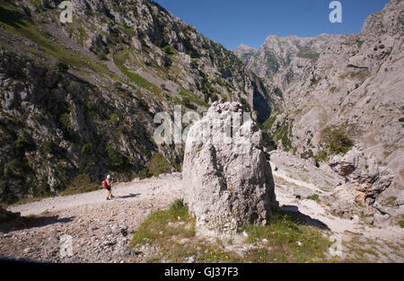 Wandern kümmert sich Schlucht in Picos de Europa, Asturien, Spanien, Europa. Stockfoto