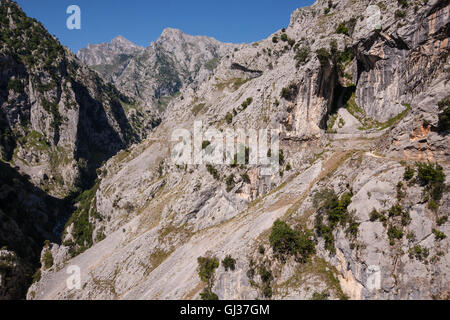 Wandern kümmert sich Schlucht in Picos de Europa, Asturien, Spanien, Europa. Stockfoto