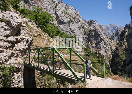 Wandern kümmert sich Schlucht in Picos de Europa, Asturien, Spanien, Europa. Stockfoto