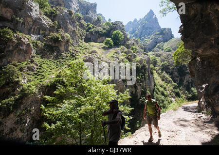 Wandern kümmert sich Schlucht in Picos de Europa, Asturien, Spanien, Europa. Stockfoto