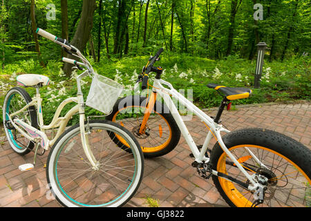 Paar Räder einander zugewandt auf Ziegel gelegt Gehweg zwischen niedrig wachsenden Blumen in einem wunderschönen park Stockfoto