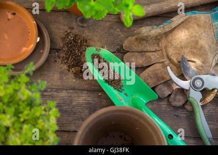 Draufsicht der Garten Kelle und Handschuhe auf Tisch Stockfoto