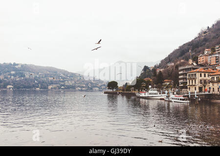 Neblige Sicht von Möwen fliegen über den Comer See, Italien Stockfoto