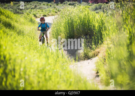 Junge, Radfahren im Park, Sandy, Utah, USA Stockfoto