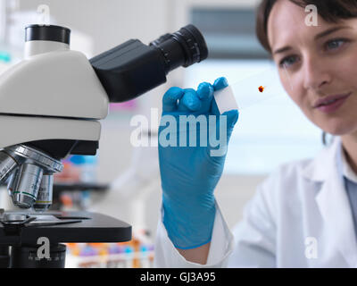 Wissenschaftler betrachten menschliche Blutprobe auf Glasobjektträger im Labor Stockfoto