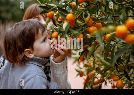 Mutter und Tochter riechen Orangen am Baum Stockfoto