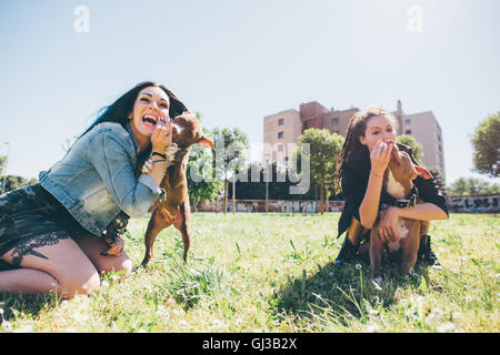 Zwei junge Frauen spielen mit Pit Bull Terrier im Stadtpark Stockfoto