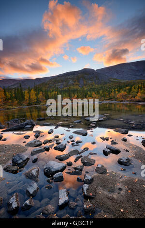 Wald bei Polygonal Seen bei Dämmerung, Chibiny Berge, Kola-Halbinsel, Russland Stockfoto