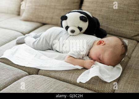 Baby Junge schlafend auf dem Sofa mit Spielzeug panda Stockfoto