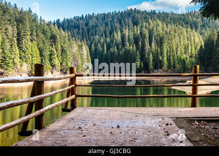Zaun der Holzsteg am See unter den Fichtenwald in Bergen Stockfoto