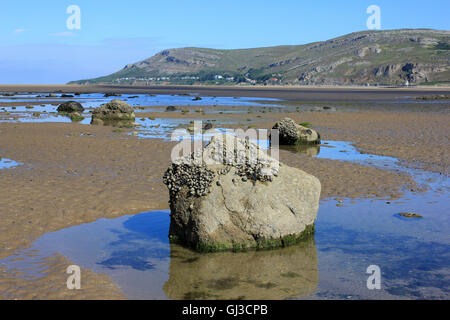 Findlinge am Westufer des Sees, Llandudno, Conwy, Wales. Großes Orme Landzunge im Abstand Stockfoto