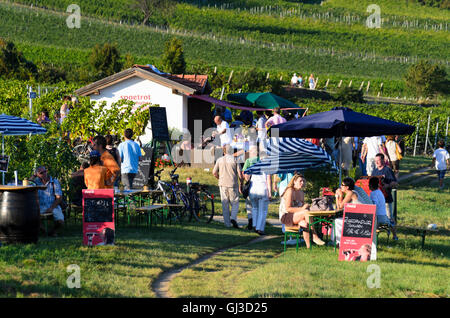 Gumpoldskirchen: Weinfest in den Weinbergen, Leute, Weinberg, Österreich, Niederösterreich, Niederösterreich, Wienerwald, Wien Stockfoto