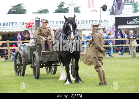 Mann und Frau in der Armee uniform mit Shire Horse und Armee Beförderung bei Countryfile Live 2016 Blenheim UK Stockfoto