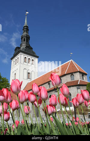 Niguliste Kirche und Tulpen. Diese Kirche ist eine beliebte Konzertsaal Dank seiner hervorragenden Akustik und Orgel Aufführungen gibt es jedes Wochenende statt. Niguliste dient auch wie ein Museum für faszinierende religiöser Kunst, darunter ein 15. Jahrhundert Gemälde "Dance of Death", als Estland sein wertvollstes Kunstwerk. Niguliste Kirche befindet sich in der Altstadt. Tallinn ist die Hauptstadt und größte Stadt in Estland, Tallinn befindet sich auf der nördlichen Küste Estland, in den baltischen Staaten. Mai. Stockfoto