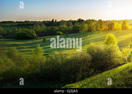 Sommer Sonnenaufgang über schöne Landschaft Hügel. Hügellandschaft. Schöne Landschaft mit goldenen Sonnenstrahlen. Stockfoto