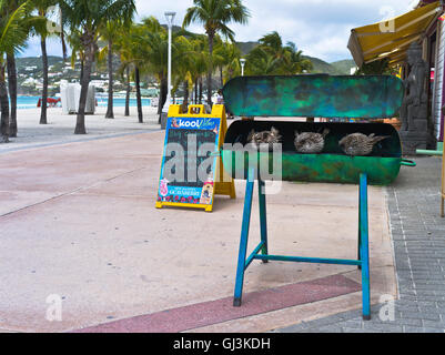 dh Philipsburg St. MAARTEN Karibik Blätterteig Kugel Fisch? auf Holzkohlegrill Seafood Restaurant am Wasser Stockfoto