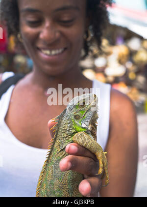 dh Philipsburg West indies ST MAARTEN CARIBBEAN Girl mit Leguan Haustier Hand halten Eidechsen Menschen ungewöhnliche Haustiere Stockfoto