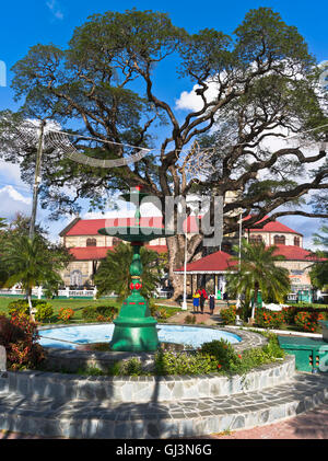Dh Castries St. Lucia KARIBIK Brunnen Derek Walcott Square Gardens alter Baum Park Stockfoto