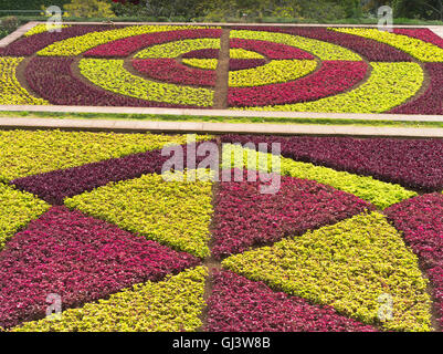 dh Botanical Gardens FUNCHAL MADEIRA Muster Heckenpflanzen Mosaikmuster Garten Stockfoto