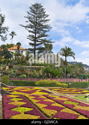 Dh Botanical Gardens Funchal Madeira hedge Anlage Mosaikmuster Terrasse betten Garten Stockfoto