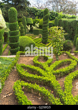 dh Botanischer Garten FUNCHAL MADEIRA Topiary entwirft Bäume Hecken Strauch Gartengestaltung Stockfoto