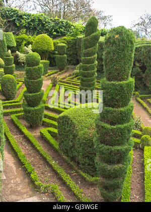 dh Botanical Gardens FUNCHAL MADEIRA Topiary Design Bäume Hecken Strauch Grünes Design für den Garten Stockfoto