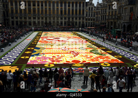 Brüssel, Belgien. 12. August 2016. Brüssel Grandeplace Flwoer Teppich 2016 Credit: Stephane Van Cauwenberghe/Alamy Live News Stockfoto