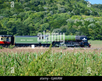 London, UK. 12. August 2016. Der "Tornado" Dampflokomotive Belmond British Pullman 60163 rast durch die Surrey Hills bei Betchworth, Dorking, Surrey 1505hrs Freitag, 12. August 2016, auf dem Weg nach London Victoria Credit: Lindsay Constable / Alamy Live News Stockfoto