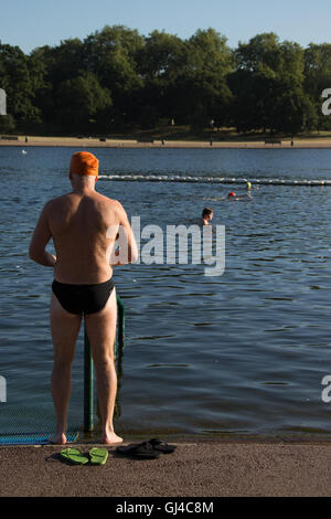 London, UK. 12. August 2016. Ein am frühen Morgen Schwimmer in der Serpentine Lake im Hyde Park in London Credit: Roger Garfield/Alamy Live News Stockfoto