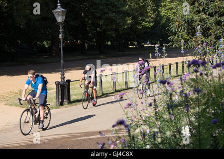 London, UK. 12. August 2016. Radfahrer, die Fahrt zur Arbeit durch den Hyde Park in London Credit: Roger Garfield/Alamy Live News Stockfoto