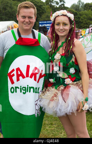 Burley, Hampshire, UK. 13. August 2016. Märchen und Märchen-Original an der New Forest Fairy Festival, Burley, Hampshire, UK im August Credit: Carolyn Jenkins/Alamy Live-Nachrichten Stockfoto