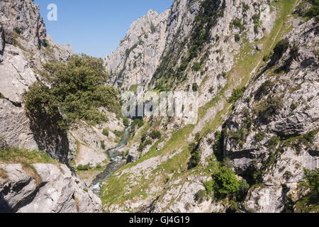 Wandern kümmert sich Schlucht in Picos de Europa, Asturien, Spanien, Europa. Stockfoto