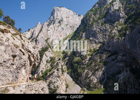 Wandern kümmert sich Schlucht in Picos de Europa, Asturien, Spanien, Europa. Stockfoto