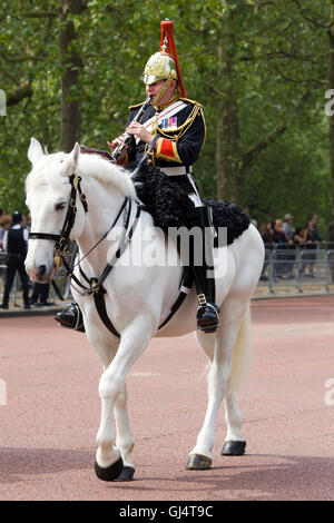 Blues und Royals household Cavalry "montierten Band, Soldat ein Flötenspiel Stockfoto