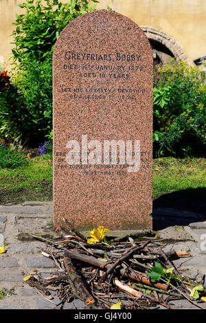 Denkmal für Greyfriars Bobby in Greyfriars Kirk, Candlemaker Row, Edinburgh, Schottland Stockfoto