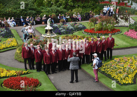 Shrewsbury Flower Show Großbritannien 12. August 2016 ein improvisiertes Lied aus Biddulph Male Voice Choir. Nach ihrem Auftritt in der Stockfoto