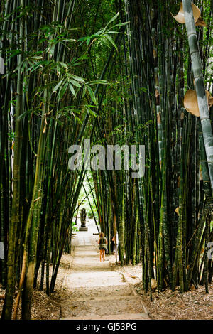 Die Bamboo Avenue in Crystal und Shambhala Schlossgarten, in der Nähe von Byron Bay. Stockfoto