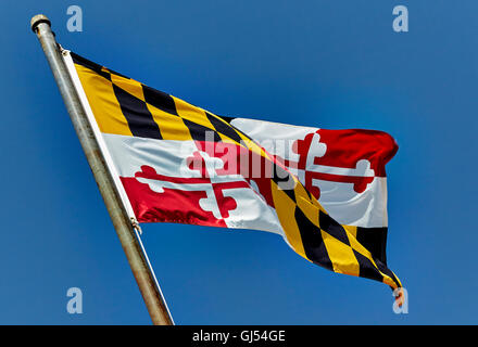 Maryland Flagge im Wind am Fahnenmast gegen blauen Himmel Stockfoto