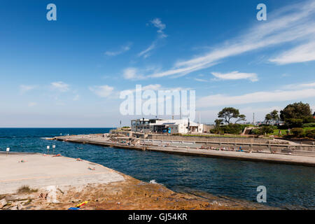 Menschen in Clovelly, Sydney Sonnenbaden. Stockfoto