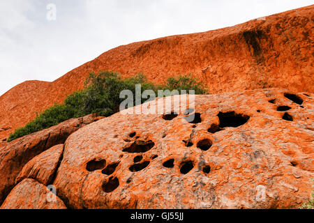 Detailansicht des Uluru im Uluru-Kata Tjuta National Park. Stockfoto