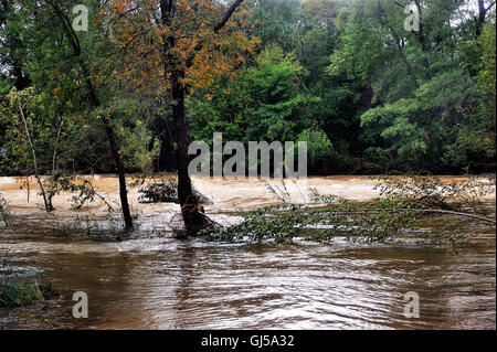 Der Vidourle Fluss bei Hochwasser nach starke Regenfällen in Frankreich im Département Gard in den Ausläufern der Cevennen gelegen. Stockfoto