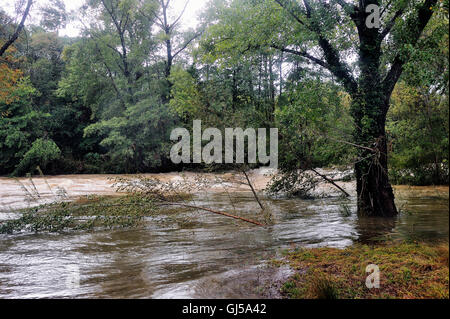 Der Vidourle Fluss bei Hochwasser nach starke Regenfällen in Frankreich im Département Gard in den Ausläufern der Cevennen gelegen. Stockfoto